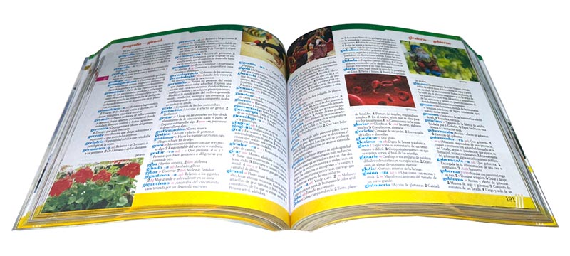 Diccionario ilustrado a todo color ESTUDIANTIL plus 2025