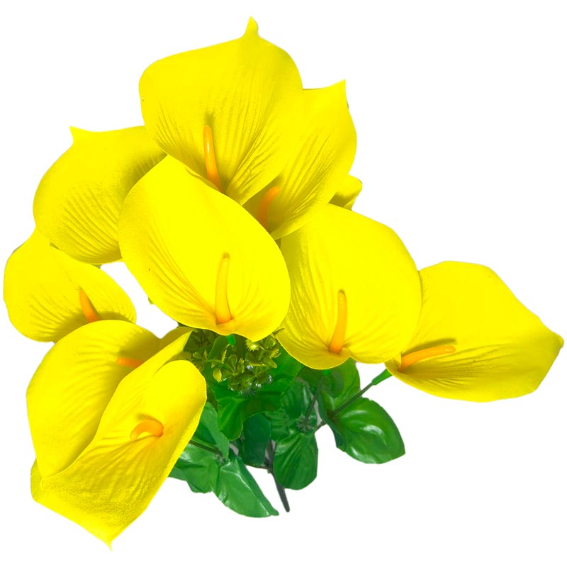 Flor (4320) - ramo de 10 anturios alto=44cm y corola=9cm