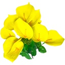 Flor (4320) - ramo de 10 anturios alto=44cm y corola=9cm