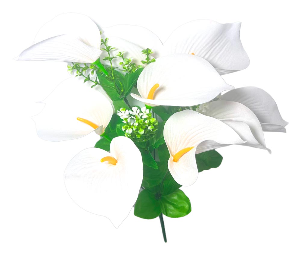 Flor (4320) - ramo de 10 anturios alto=44cm y corola=9cm