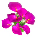 Flor (4320) - ramo de 10 anturios alto=44cm y corola=9cm