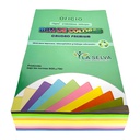 Bon de 10 colores pasteles y neones 500 hojas Oficio La Selva