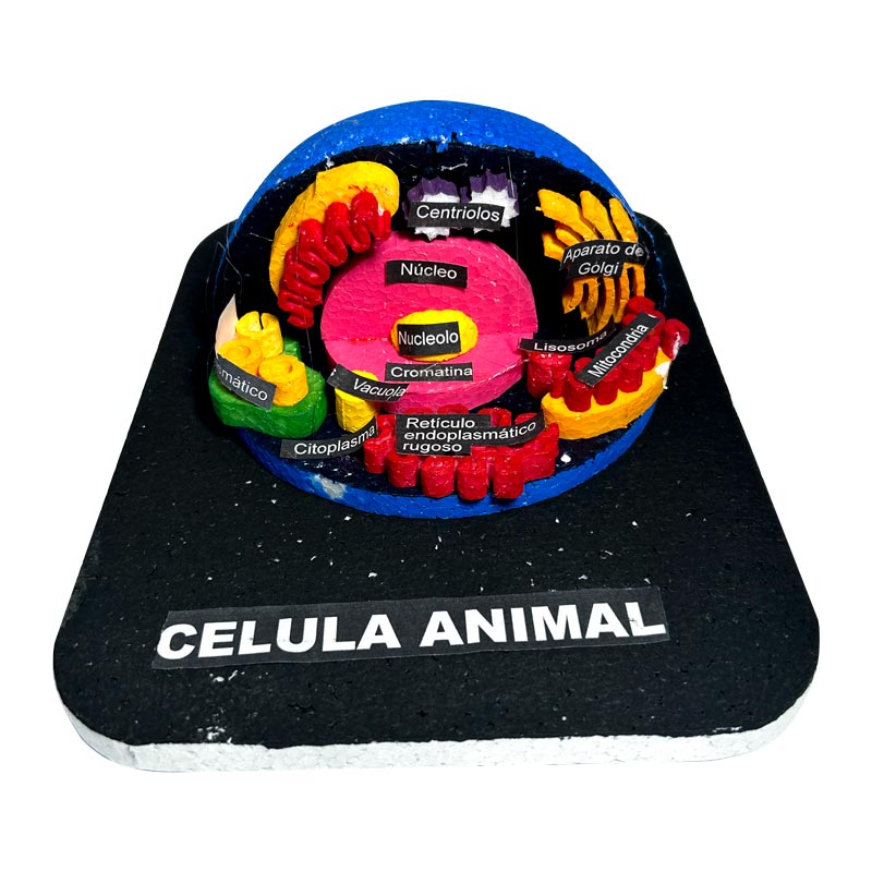 Maqueta de plastoformo 3D semi-esfericos NEPTUNO 19x24cm