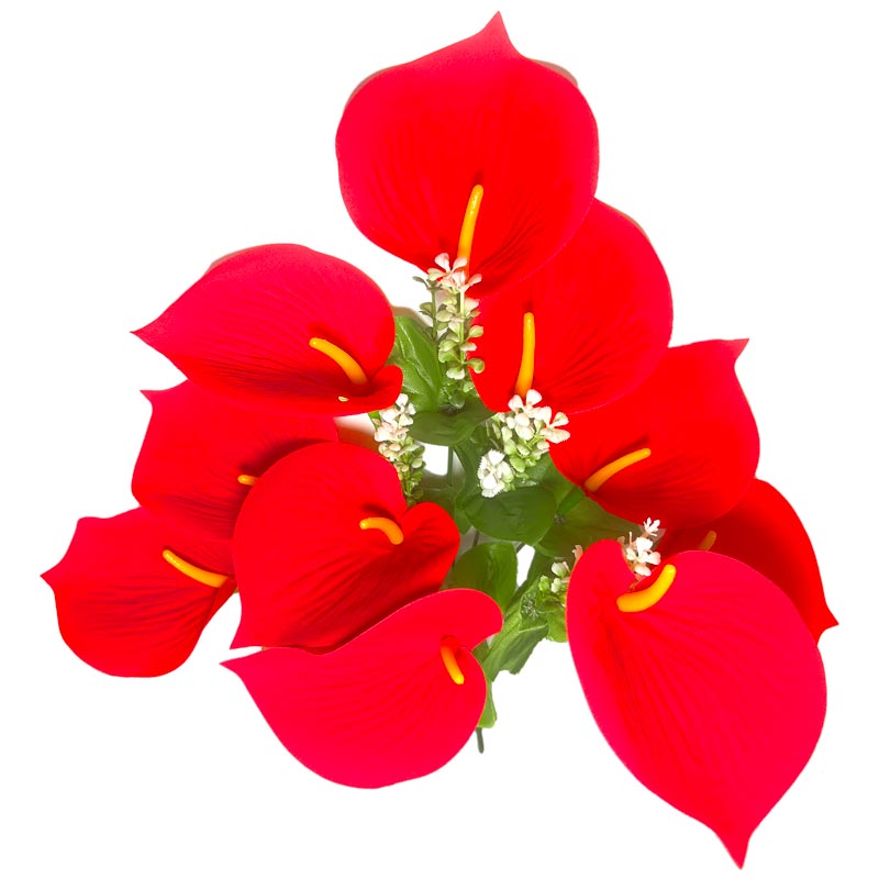 Flor (4320) - ramo de 10 anturios alto=44cm y corola=9cm