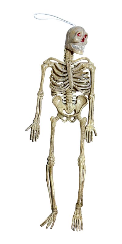 Esqueleto plastico 29 cm