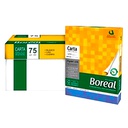 Hojas bon Boreal Celulosa Argentina Carta 75gr. 500Hojas