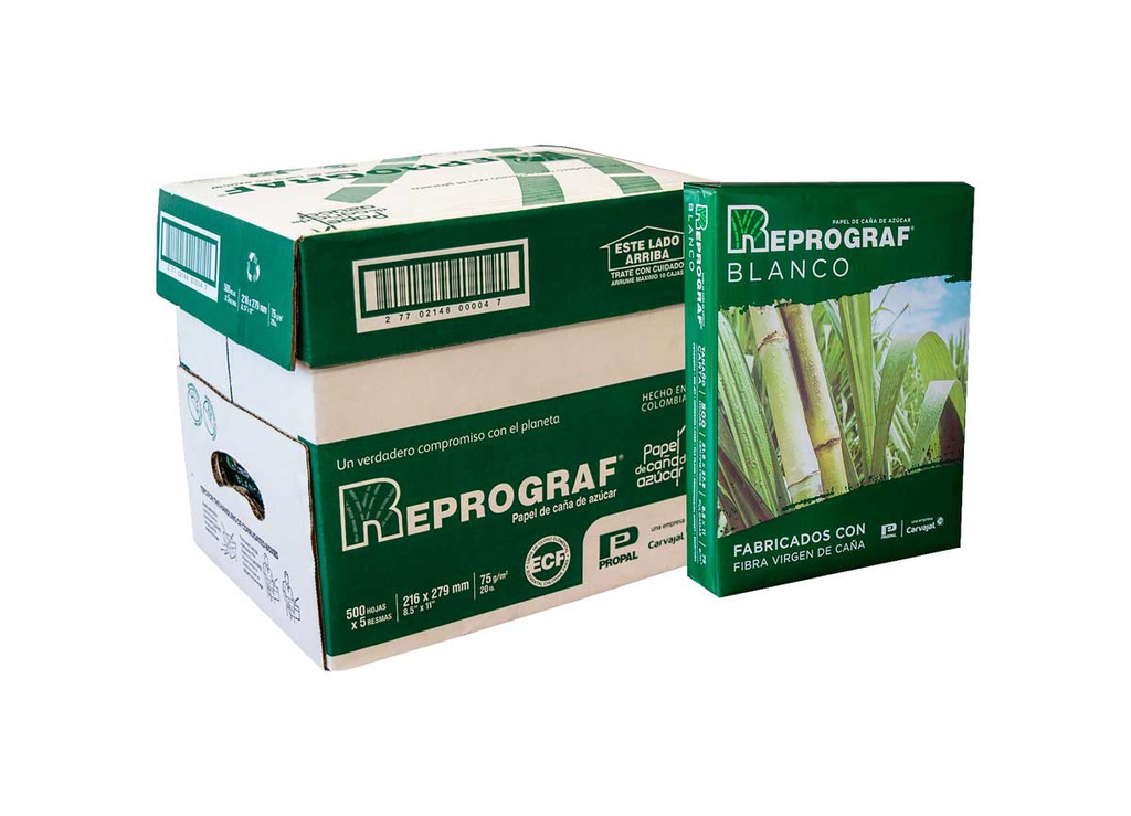 Hojas bon Reprograf Carta 75gr. 500Hojas