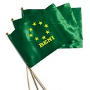 Banderita departamental 20x30cm