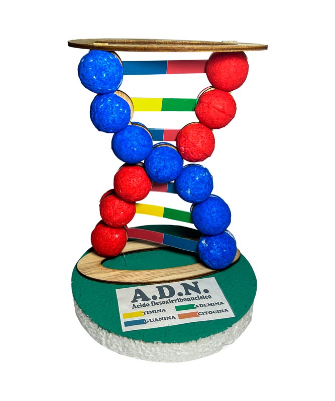 Maqueta el ADN en 3D