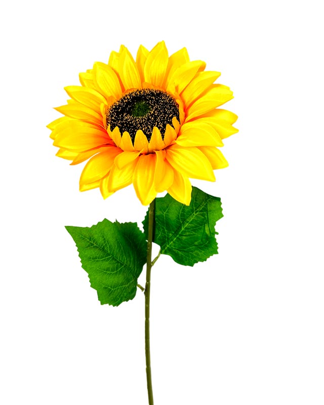 Flor - Girasol individual tallo gruezo, largo 65 cm, corola 17 cm. PETALOS Y HOJAS GRANDES