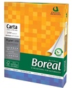 Hojas bon Boreal Celulosa Argentina Carta 75gr. 500Hojas