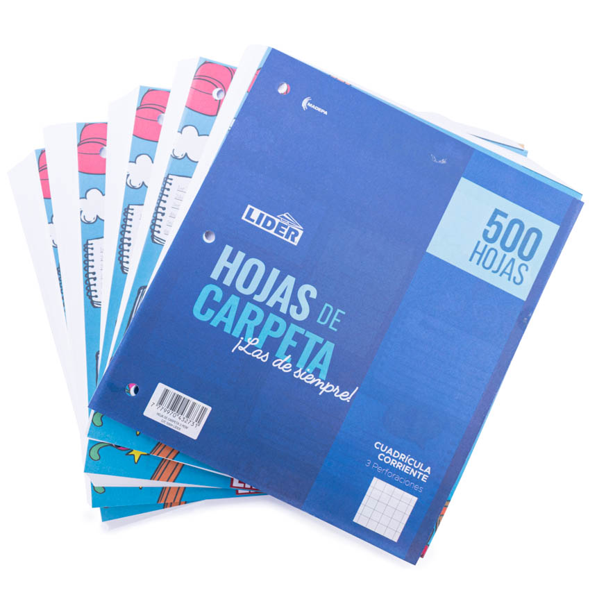 Hojas de carpeta cuadro normal Lider 500hjs