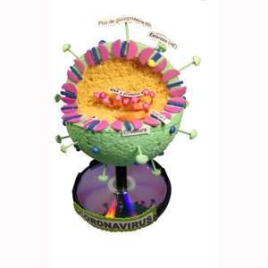 Maqueta de corona virus en esfera de platoformo