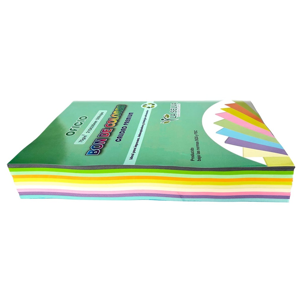 Bon de 10 colores pasteles y neones 500 hojas Oficio La Selva