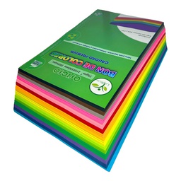 Bon colores enteros OFICIO La Selva 500hojas