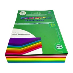 [B15-CA] Bon de 15 colores 500 hojas Carta La Selva