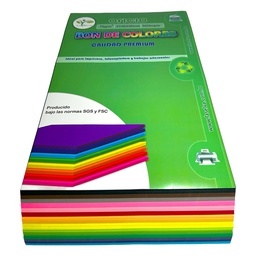 [B15-OF] Bon de 15 colores 500hojas OFICIO La Selva