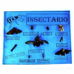 [INSEC-2] INSECTARIO GRANDE