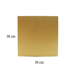 [TR3-3030] Trupan 30x30cm expesor 3mm