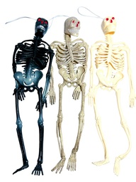 [ESQ29] Esqueleto plastico 29 cm