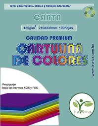 [CI20100-CA] Cartulina de 10 colores intensos Carta La Selva, paquete de 100 hojas